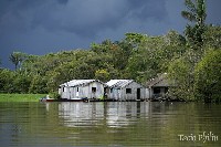  manaus