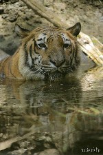  zooparque itatiba