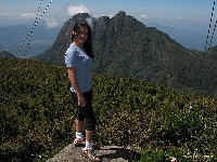  pico parana e arredores
