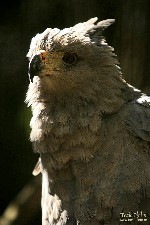  zooparque itatiba