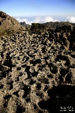  travessias couto-prateleiras e longitudinal agulhas negras