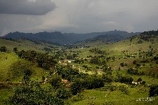  cambui-campos