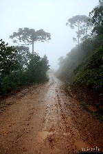  itatiaia-falcao