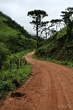  itatiaia-falcao