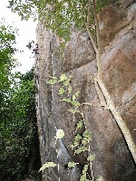  escalada artificial no visual