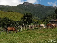  travessia marins-itaguare