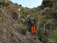  pico itaguare