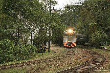  marumbi