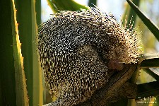  zooparque itatiba