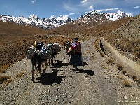 condoriri e tarija