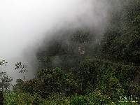  downhill la cumbre coroico