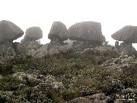  travessia sino de itatiaia e altar