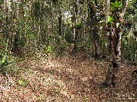  tira chapeu e pedra alta bocaina