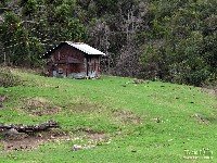  serra negra, cristal e agulhas negras