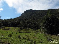  serra negra, cristal e agulhas negras