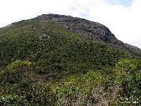  serra negra, cristal e agulhas negras