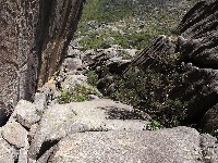  serra negra, cristal e agulhas negras