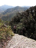  serra negra, cristal e agulhas negras