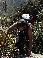  serra negra, cristal e agulhas negras