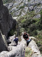  serra negra, cristal e agulhas negras