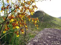  novamente nas montanhas esquecidas do pni