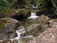  novamente nas montanhas esquecidas do pni