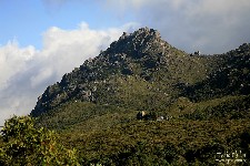  travessia rui braga - pni