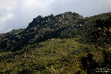  travessia rui braga - pni