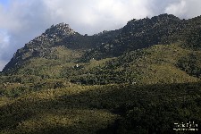  travessia rui braga - pni