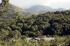  travessia rui braga - pni