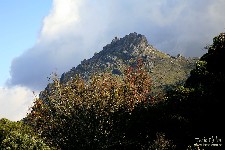  travessia rui braga - pni