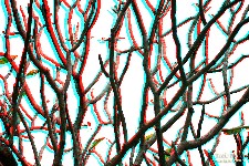  reflexos na av paulista - sp