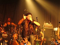  show eluveitie sp
