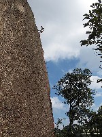  desmatamento pedra grande - atibaia