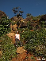  desmatamento pedra grande - atibaia