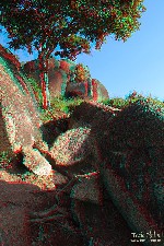  desmatamento pedra grande - atibaia