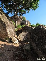  desmatamento pedra grande - atibaia