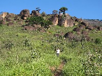  desmatamento pedra grande - atibaia