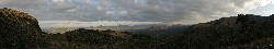  pico do papagaio