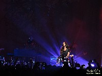  show alanis morissette - sp