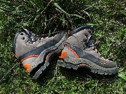  pico do ataque e focinho de cao