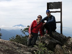  pico do ataque e focinho de cao
