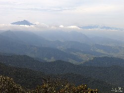  pico do ataque e focinho de cao