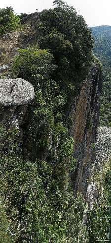  pico do ataque e focinho de cao