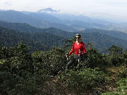  pico do ataque e focinho de cao