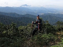  pico do ataque e focinho de cao