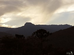  pico do ataque e focinho de cao