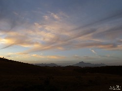  pico do ataque e focinho de cao