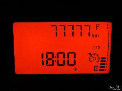  pico do ataque e focinho de cao