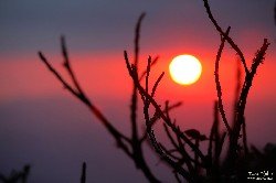  nova couto-prateleiras e por-do-sol no pni